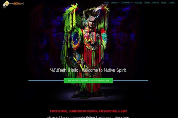 Website design for Entertainers